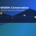 AI Wildlife Conservation: Machine Learning for Biodiversity