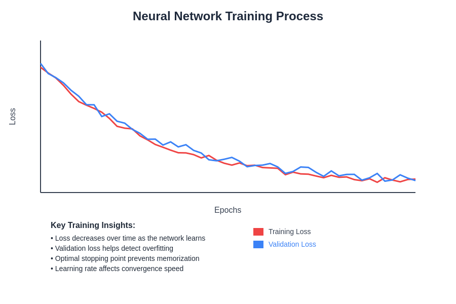 Training Process Visualization