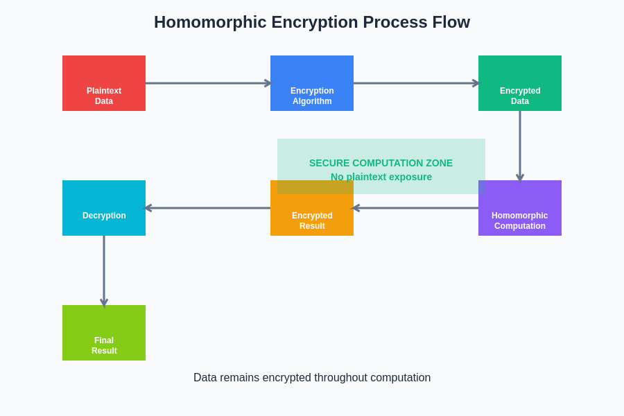 Homomorphic Encryption Process Flow
