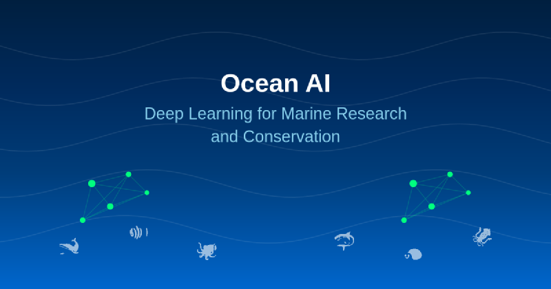 Featured image of post Ocean AI: Deep Learning for Marine Research and Conservation