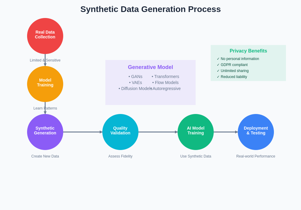 Synthetic Data Generation Process